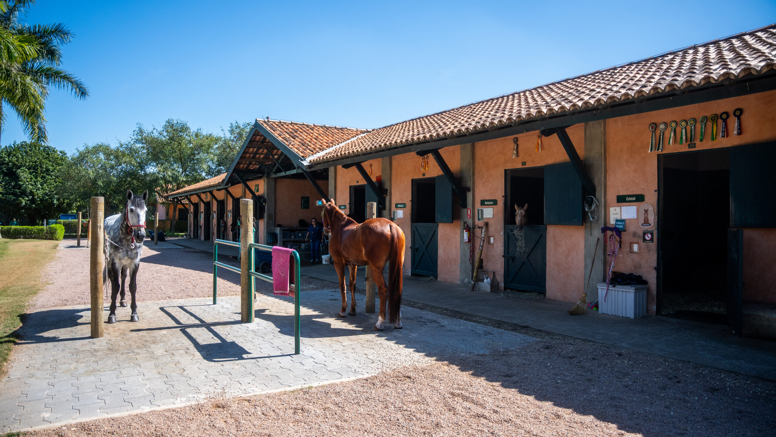 Hipismo — baias