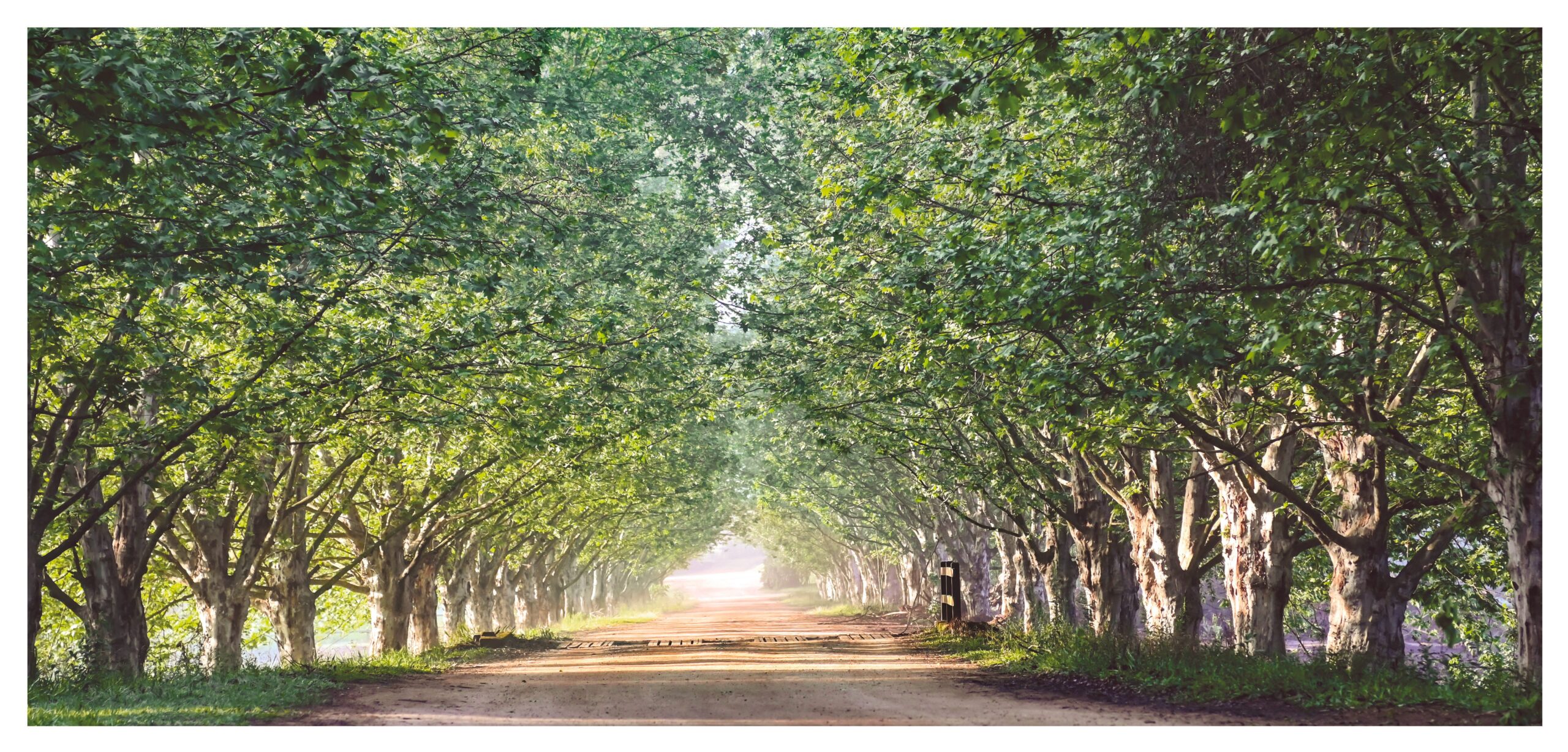 Primavera — natureza